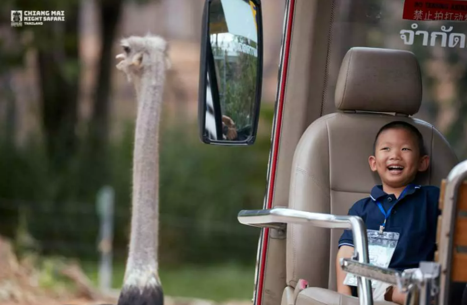 Chiang Mai Night Safari Ticket | Thailand 3