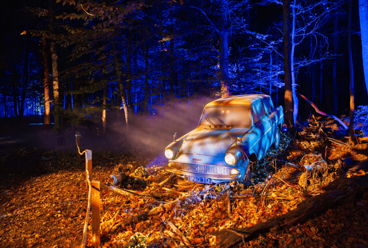 Harry Potter: A Forbidden Forest Experience 3