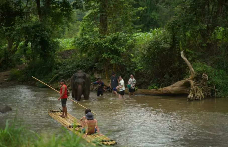 Chiang Mai ATV 2 hrs. Mae Wang Jungle Beauty and Bamboo Rafting Day Tour 2