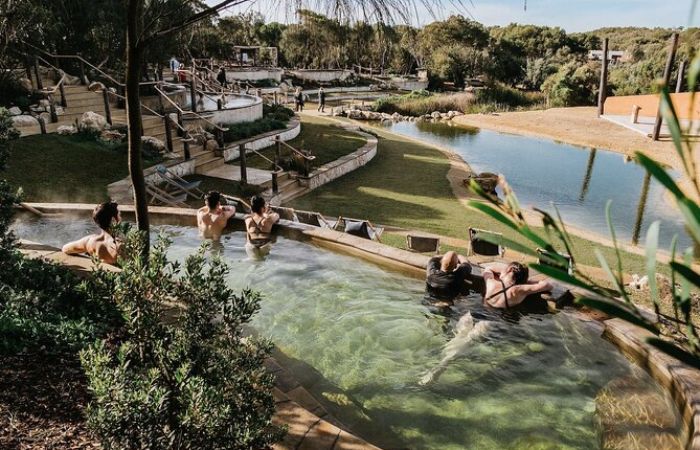Mornington Hot Springs & Arthur's Seat Cable Car Day Tour | Melbourne 4