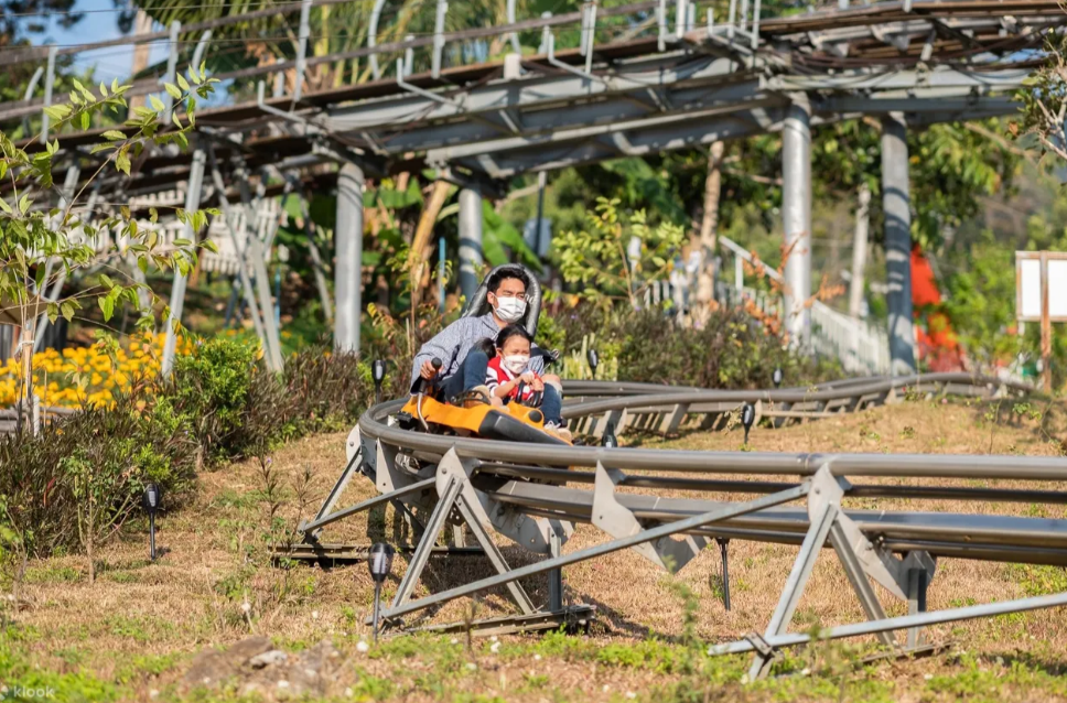 Pongyang Jungle Coaster & Zipline 3