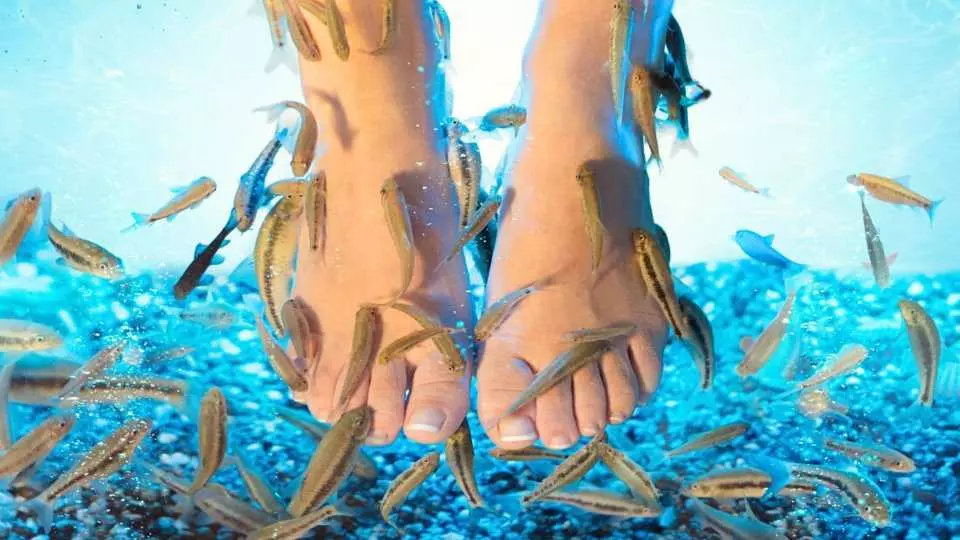 Hoa Phu Thanh Rafting Tickets in Da Nang 5