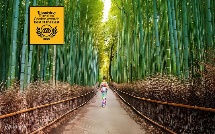 Kyoto Arashiyama Walking Tour: Bamboo Forest, Monkeys, Zen & Secrets_copy 2