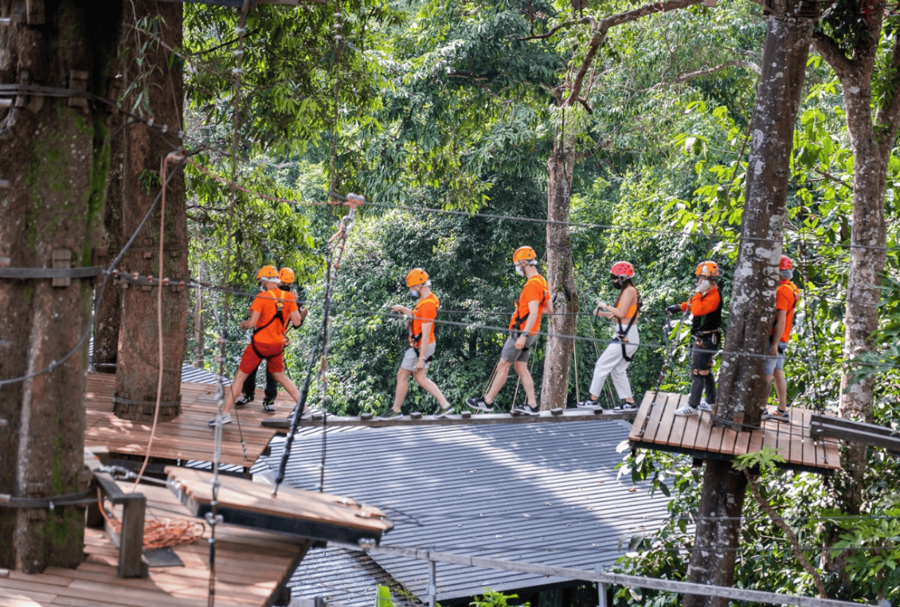 Pongyang Jungle Coaster & Zipline 5