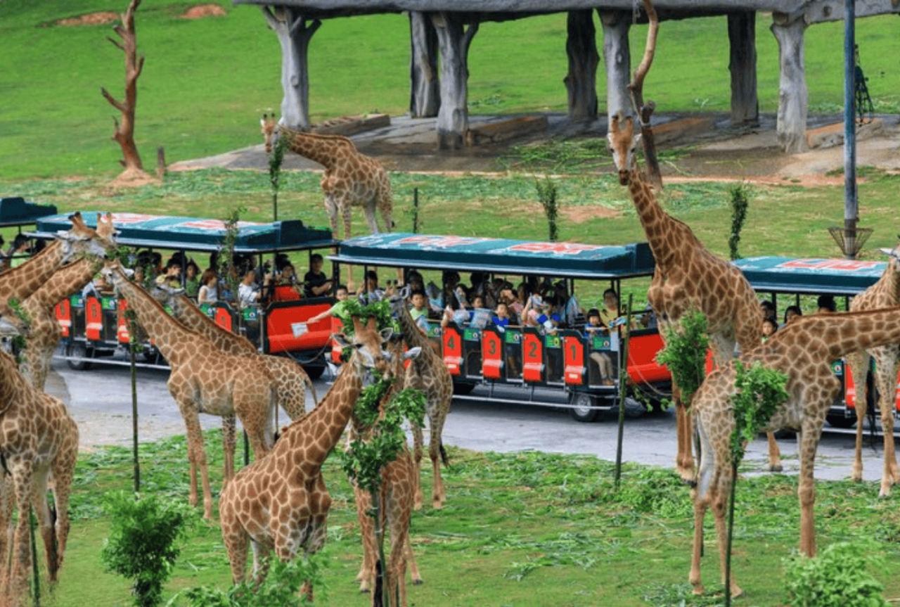 Safari Park Shenzhen