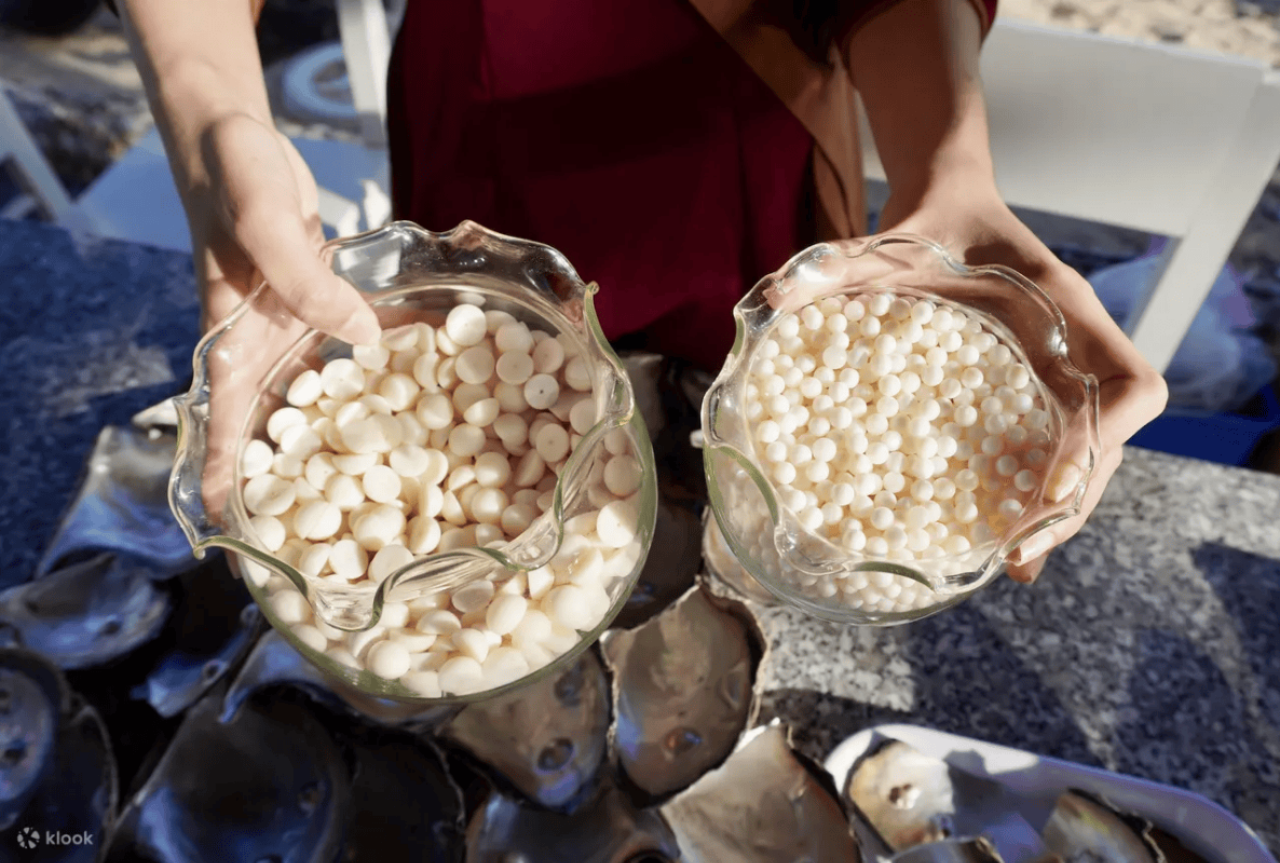 探索芽庄海底世界水族馆的珍珠奥秘 2