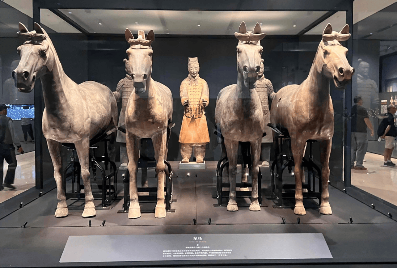 Emperor Qinshihuang's Mausoleum Site Museum 5