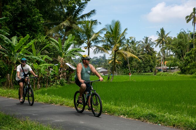 Downhill Cycling Tour Ubud with Volcano, Rice Terraces, And Jungle