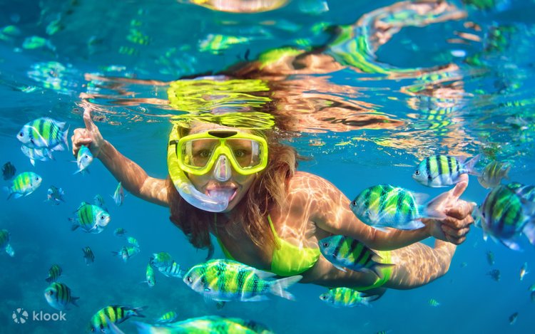 Blue Lagoon Snorkeling in Bali with Optional Activities & Tour 2