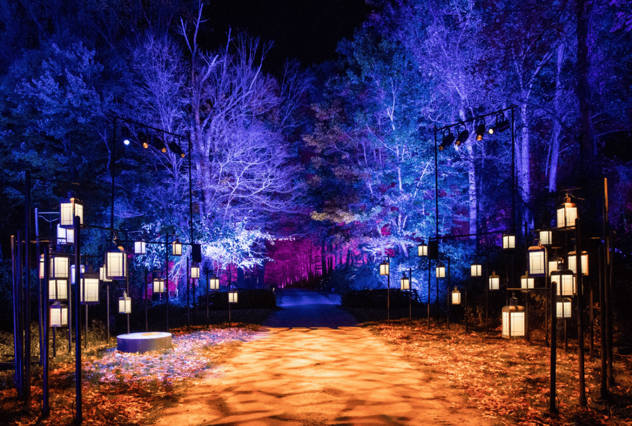 Harry Potter: A Forbidden Forest Experience 5