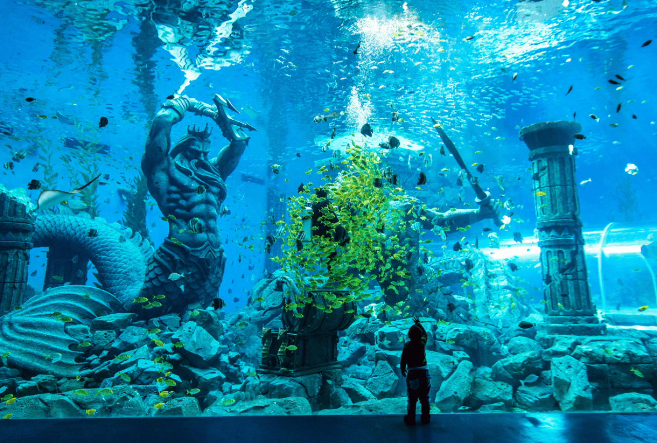 Poseidon Underwater World 5