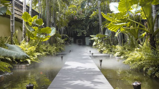 Chiang Mai: Spa Experience in Fah Lanna Spa (Old Town branch) 3