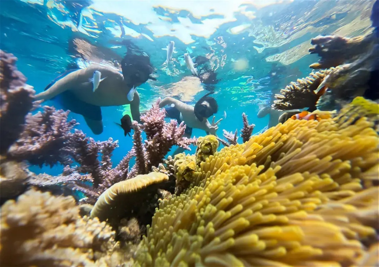 Nha Trang Half-Day Snorkeling Adventure with BBQ Onboard