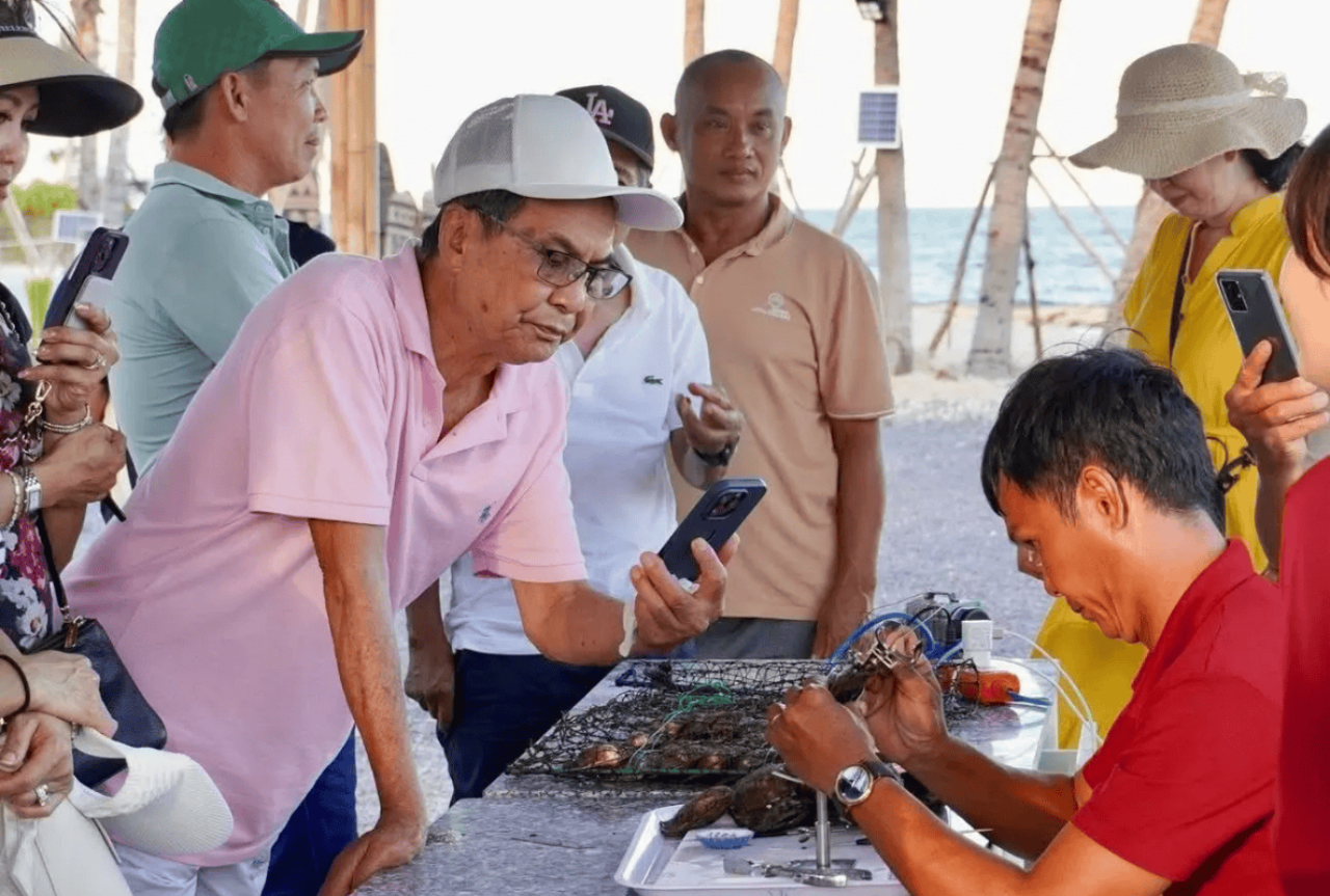 探索芽庄海底世界水族馆的珍珠奥秘 3