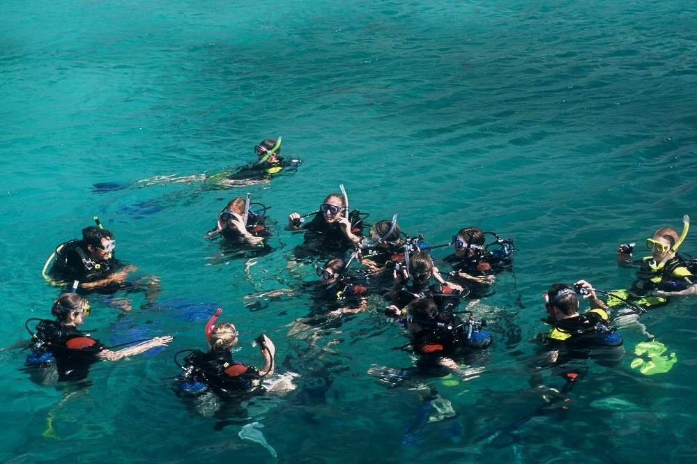 Day Tour | Scuba Diving in Nha Trang 4