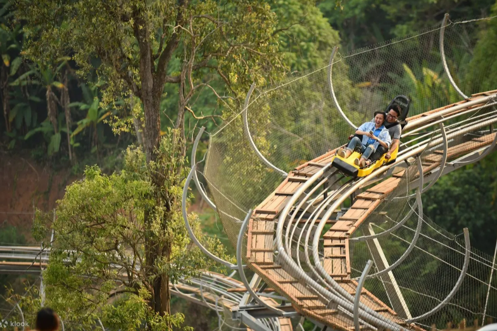 Pongyang Jungle Coaster & Zipline