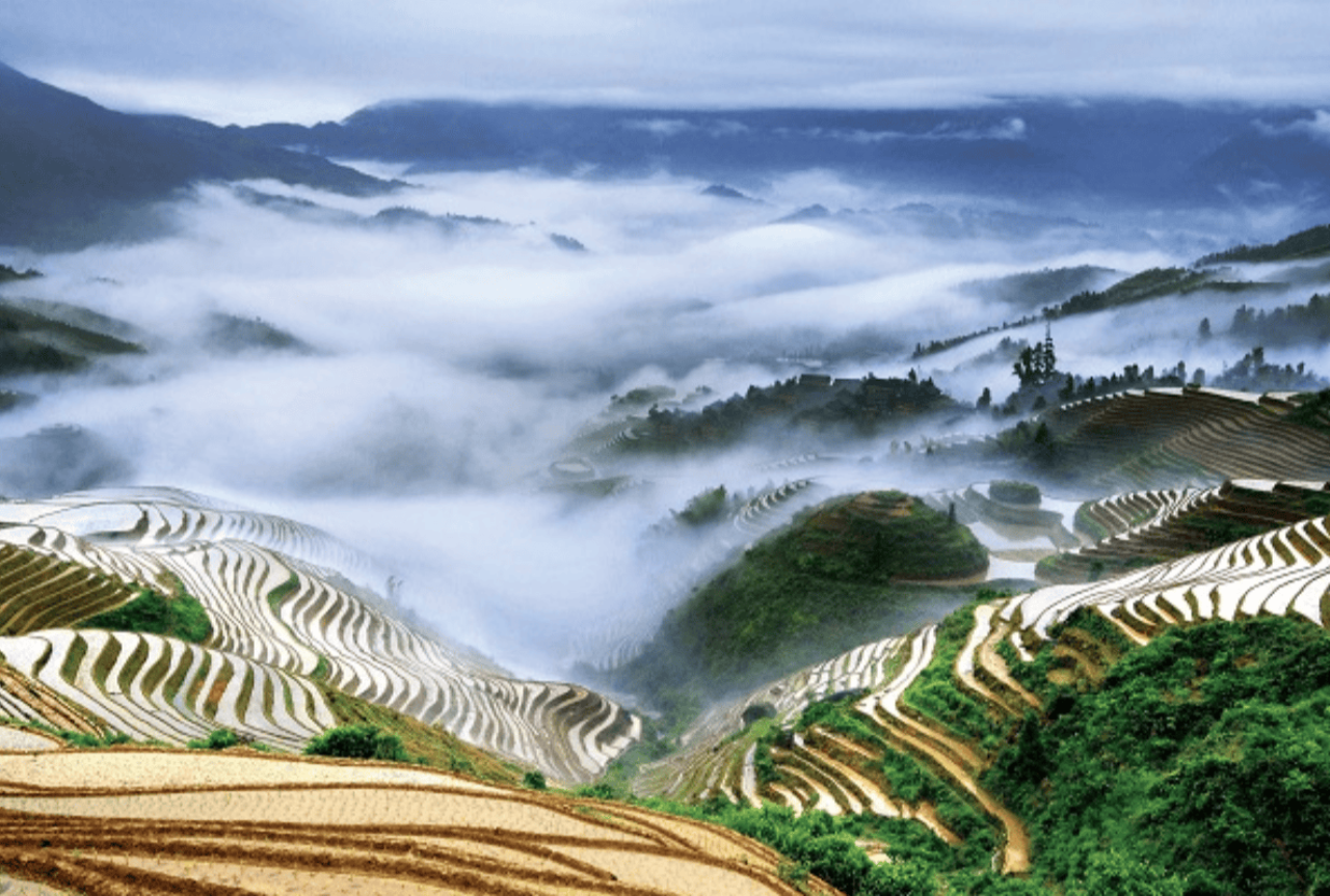 Longji Rice Terraces 4