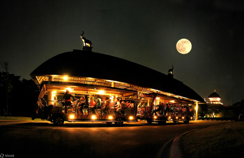 Chiang Mai Night Safari Park Ticket