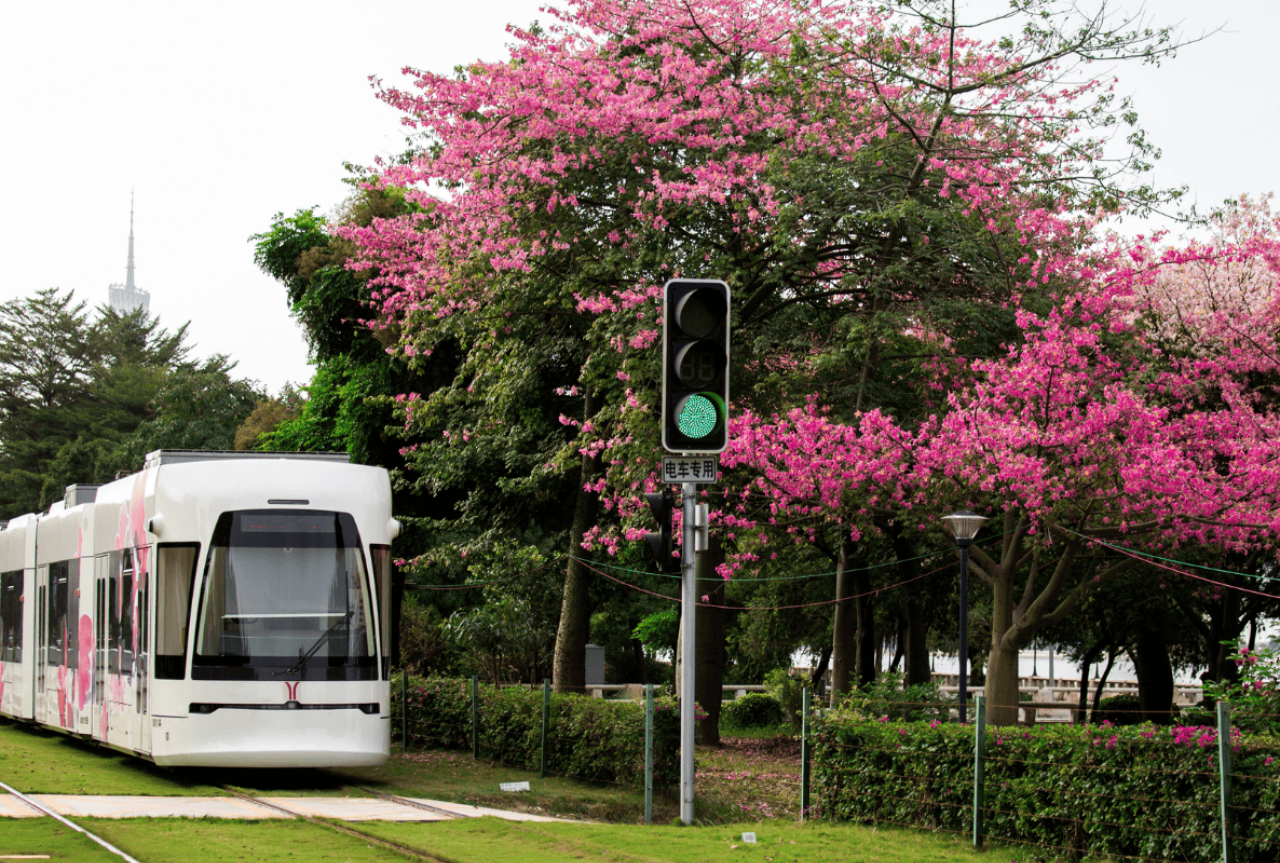 Haizhu Tram Line 1 3