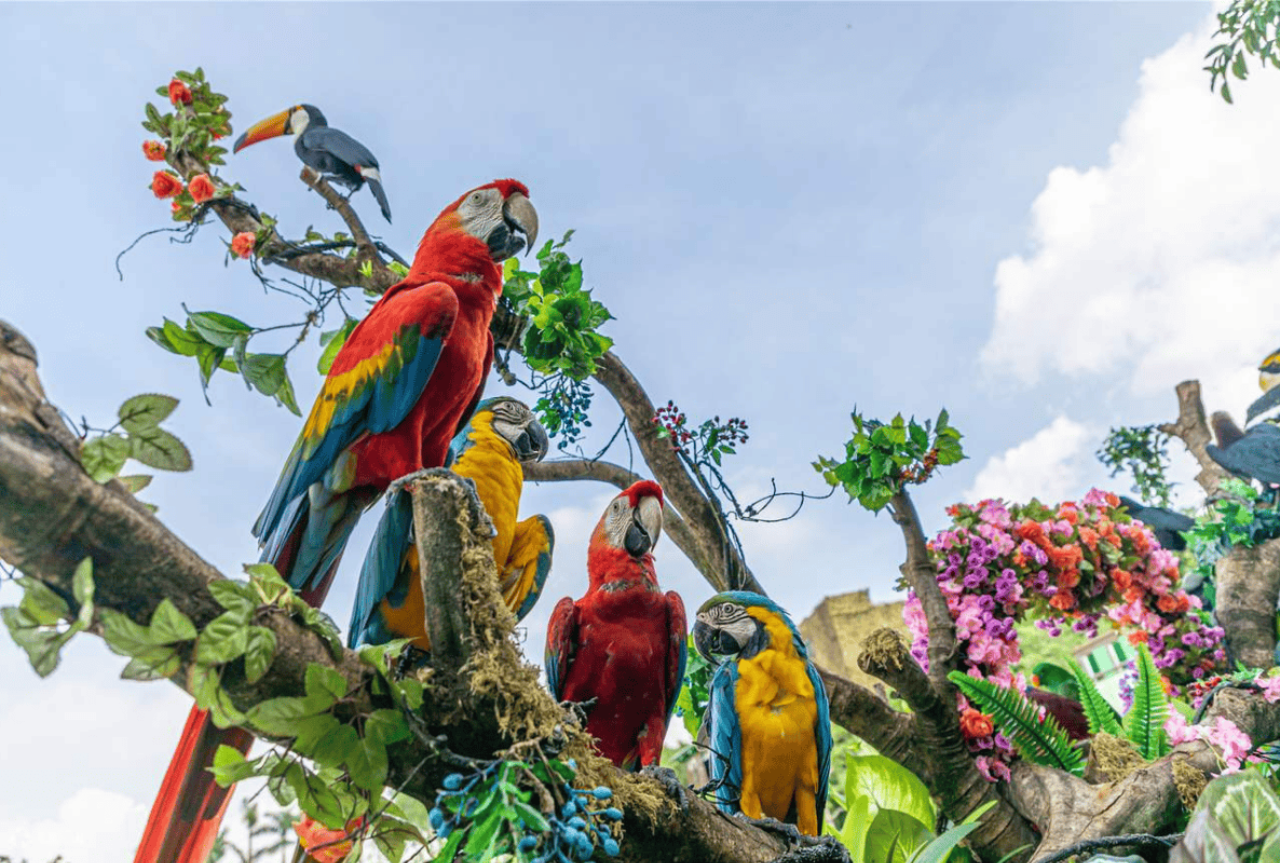 Chimelong Safari Park