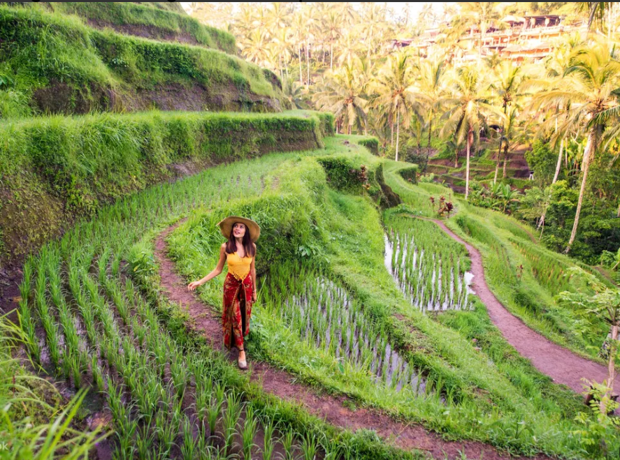 Blue Lagoon Snorkeling in Bali with Optional Activities & Tour 2