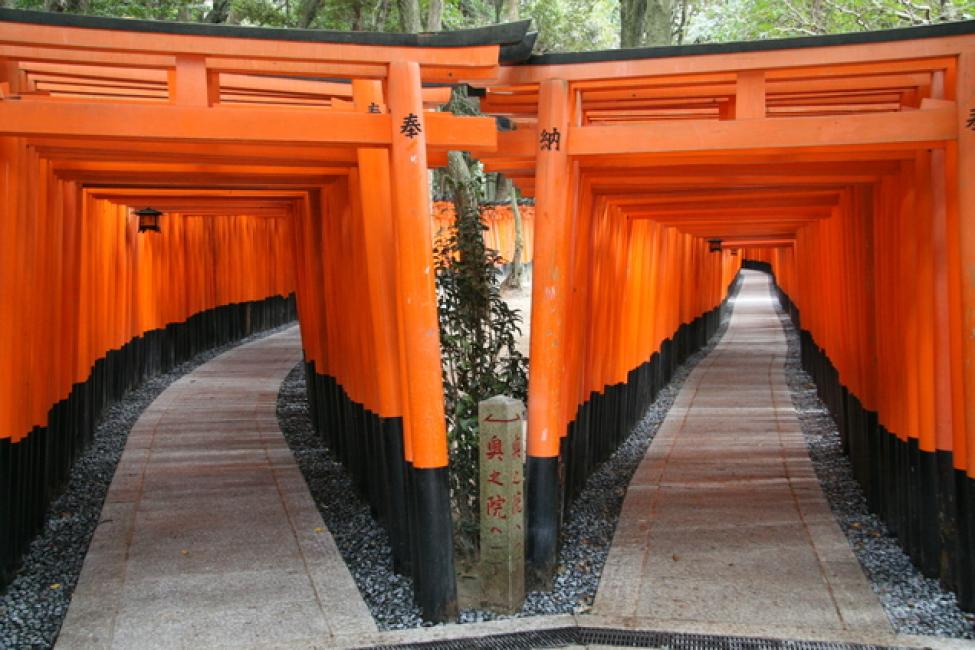 PERFECT 1-Day KYOTO Guided Bus Tour with Kiyomizudera, Fushimi Inari, Kinkakuji, Bamboo Forest, Sanjyusangendo, Tenryuji, Buffet Lunch