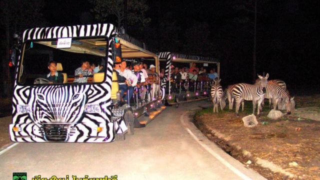 Chiang Mai Night Safari Ticket | Thailand
