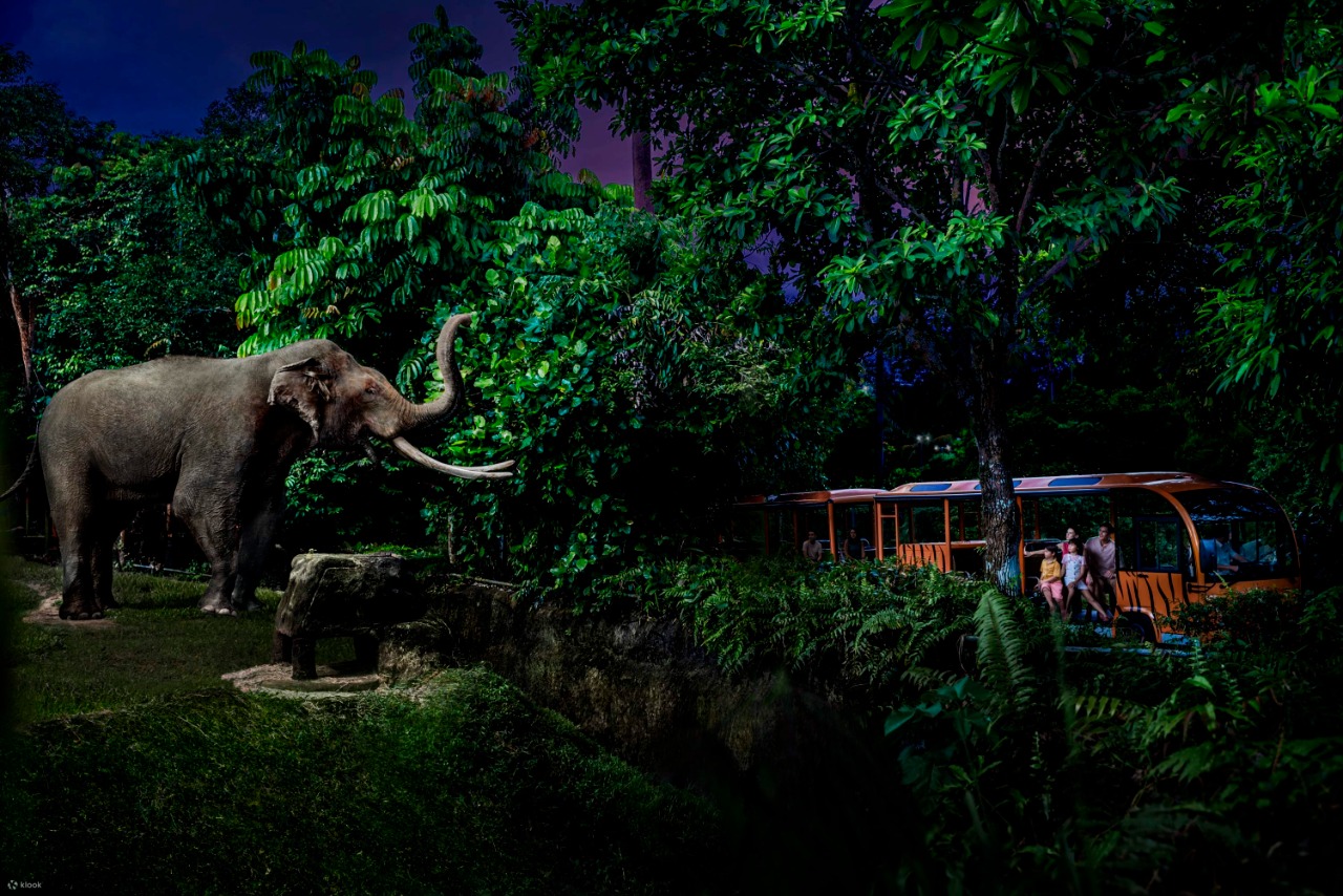Night Safari Ticket | Mandai Wildlife Reserve, Singapore 3