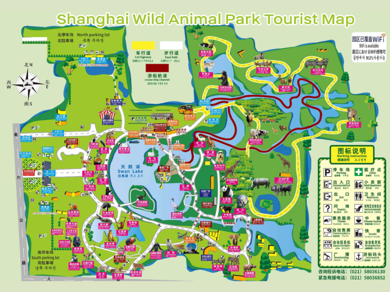 Shanghai Wild Animal Park Ticket 2