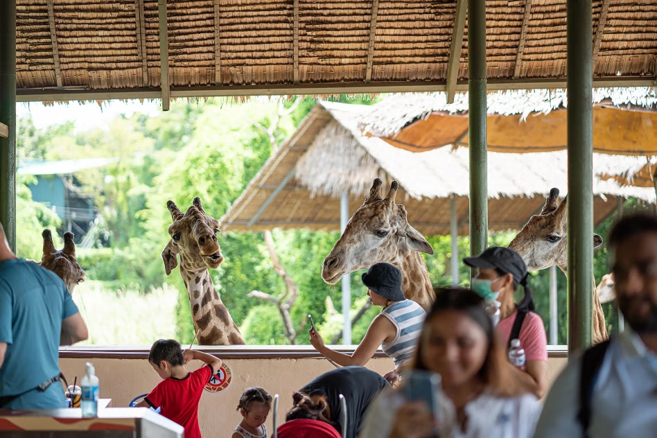 Safari World Bangkok Ticket 5