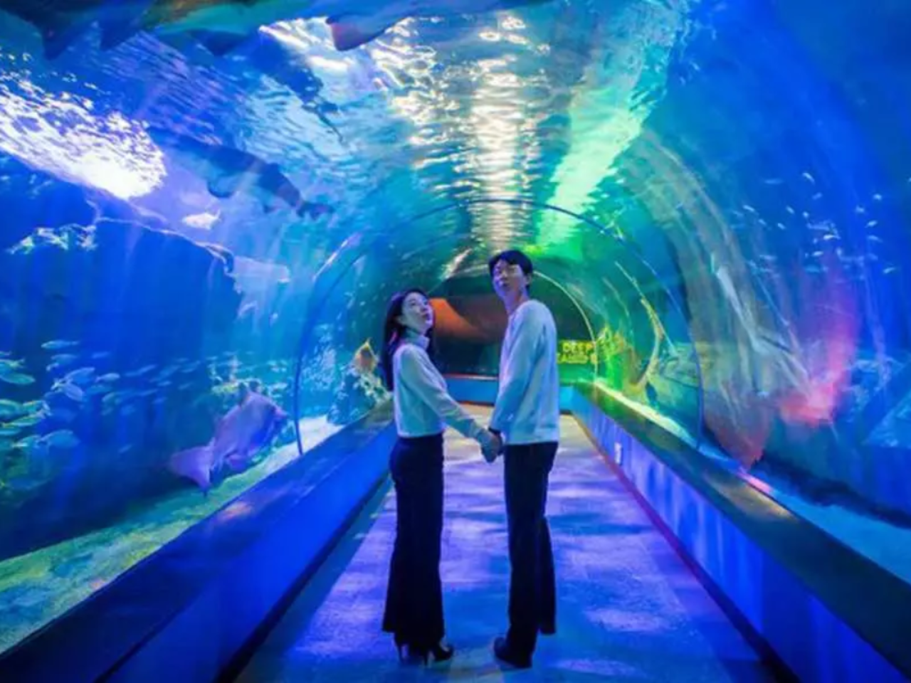 Sea Life Busan Aquarium Tickets | Korea 3