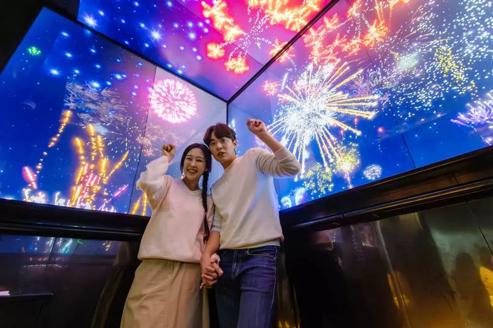 N Seoul Tower Observatory Ticket 2