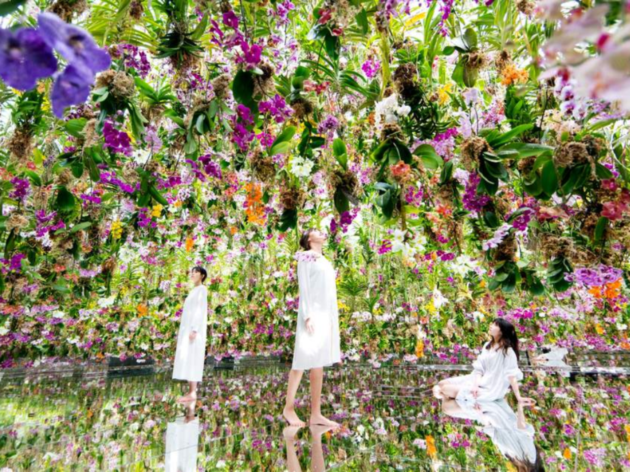 teamLab Planets TOKYO Ticket 5