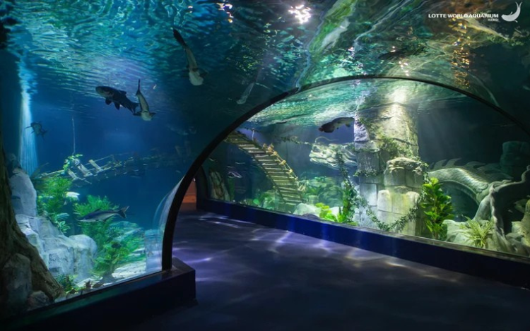 Lotte World Aquarium Hanoi Ticket 3