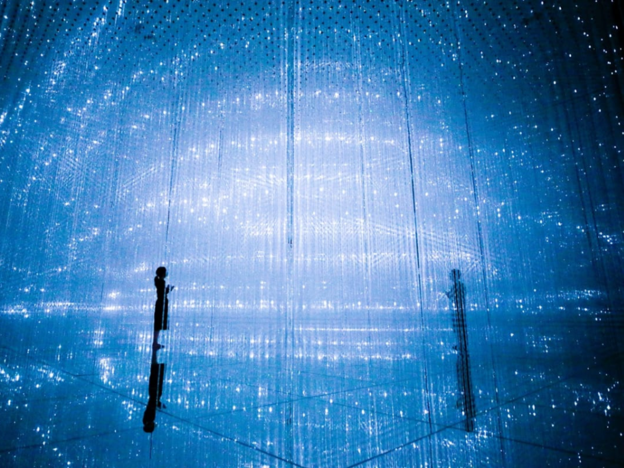 teamLab Planets TOKYO Ticket 2