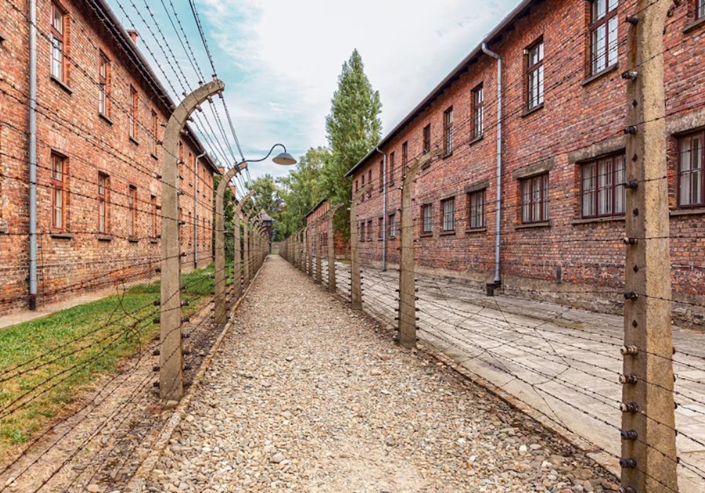 Auschwitz-Birkenau Tour From Krakow 3