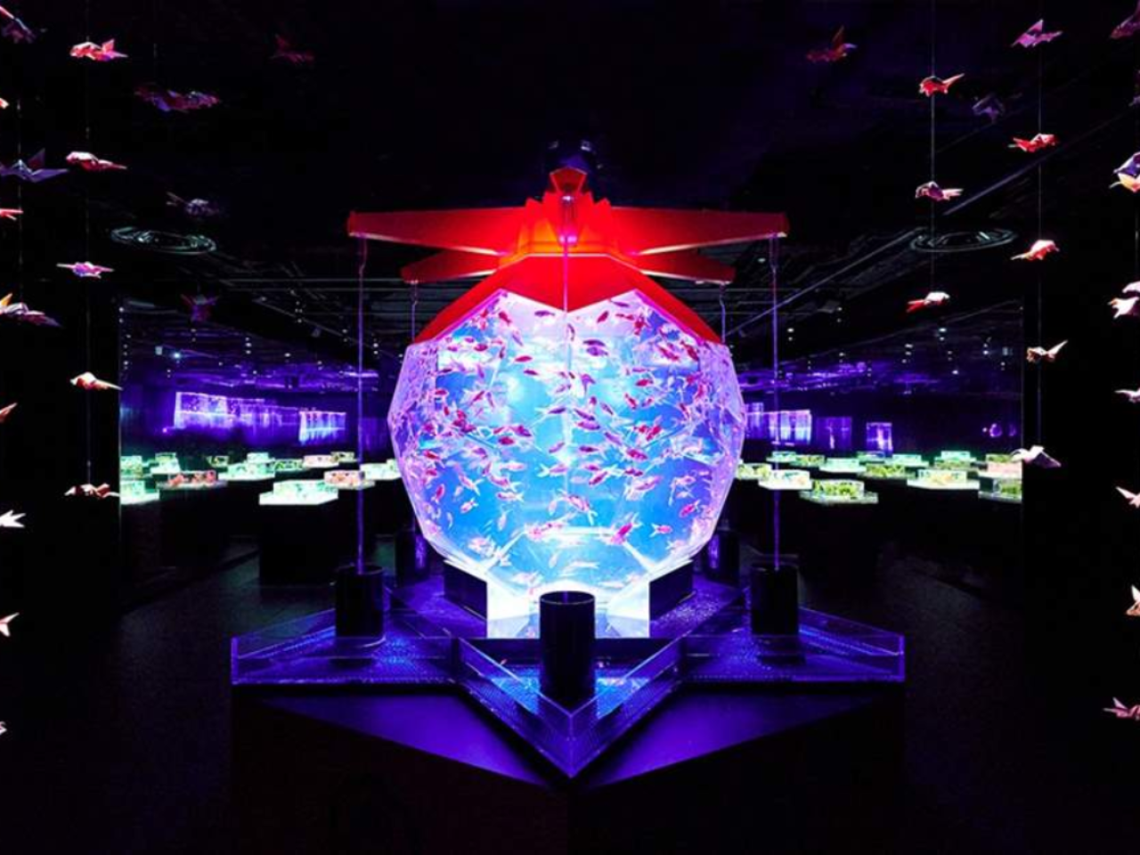 Art Aquarium Museum GINZA ticket