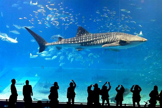 SEA LIFE Bangkok Ocean World Ticket 4