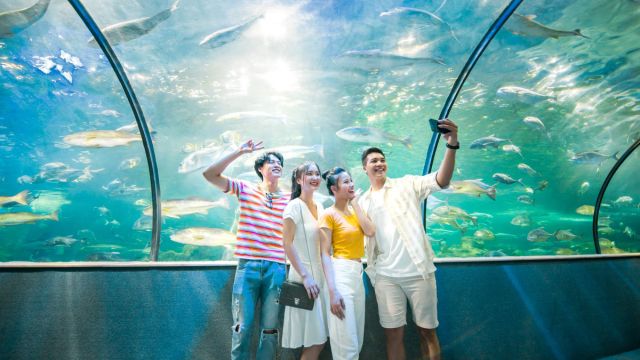 VinKE & Vinpearl Aquarium Ticket in Ha Noi 5