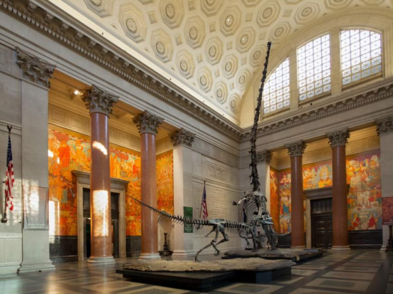 American Museum of Natural History Ticket | New York 4