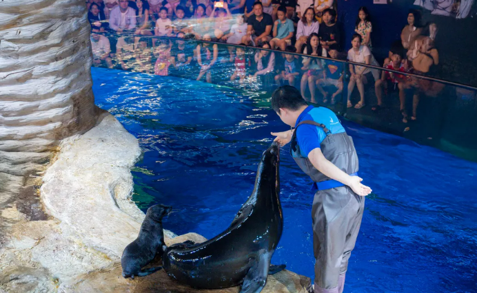 Lotte World Aquarium Hanoi Ticket 2