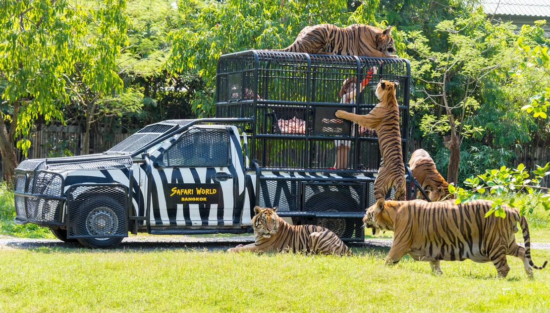 Safari World Bangkok Ticket