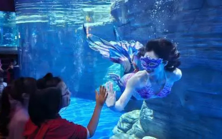 Lotte World Aquarium | Hanoi 5