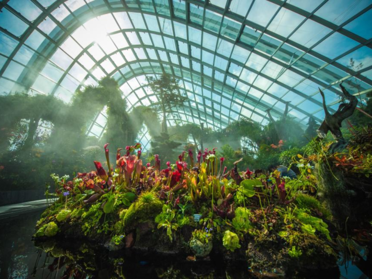 Gardens by the Bay Singapore