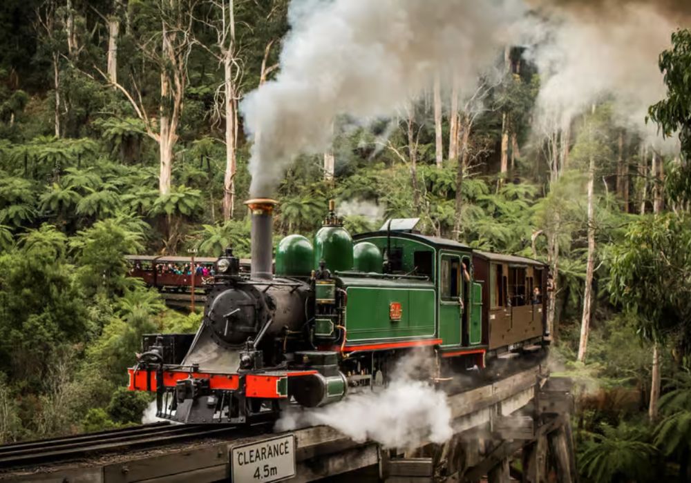 Puffing Billy Railway Ticket