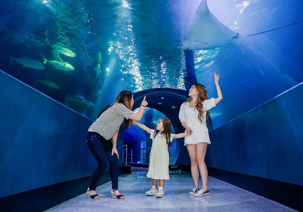 [QR Direct Entry] Melbourne SEA LIFE Aquarium Tickets | Victoria 5