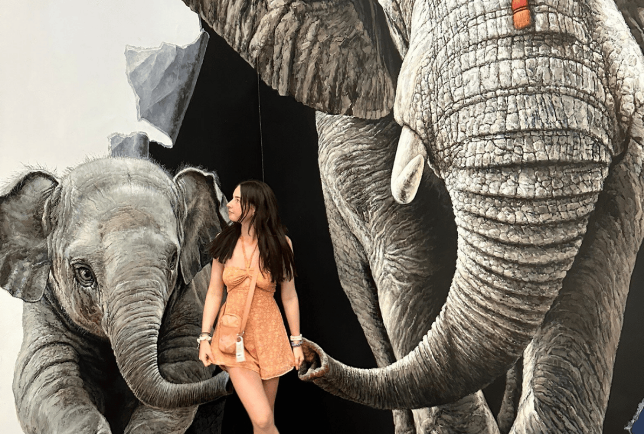 清迈 Art In Paradise 门票