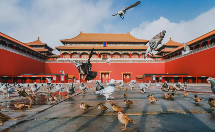 Beijing Palace Museum Ticket (The Forbidden City) 4