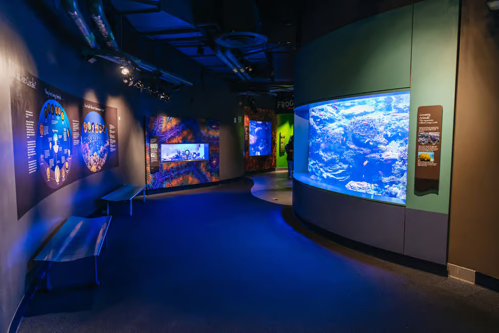 Aquarium of the Pacific Ticket in California 4