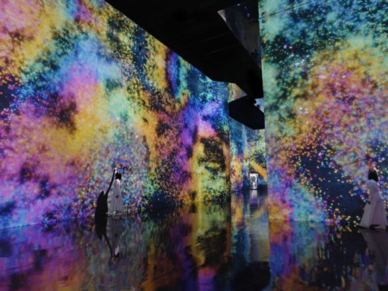 Tokyo TeamLab Planets Ticket 5